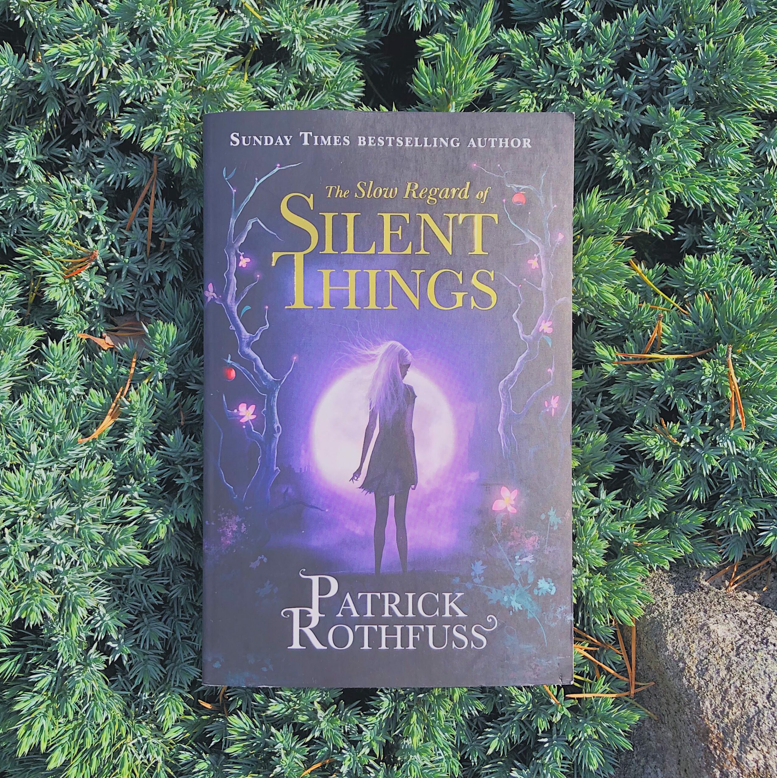 The slow regard of silent things-Patrick Rothfuss