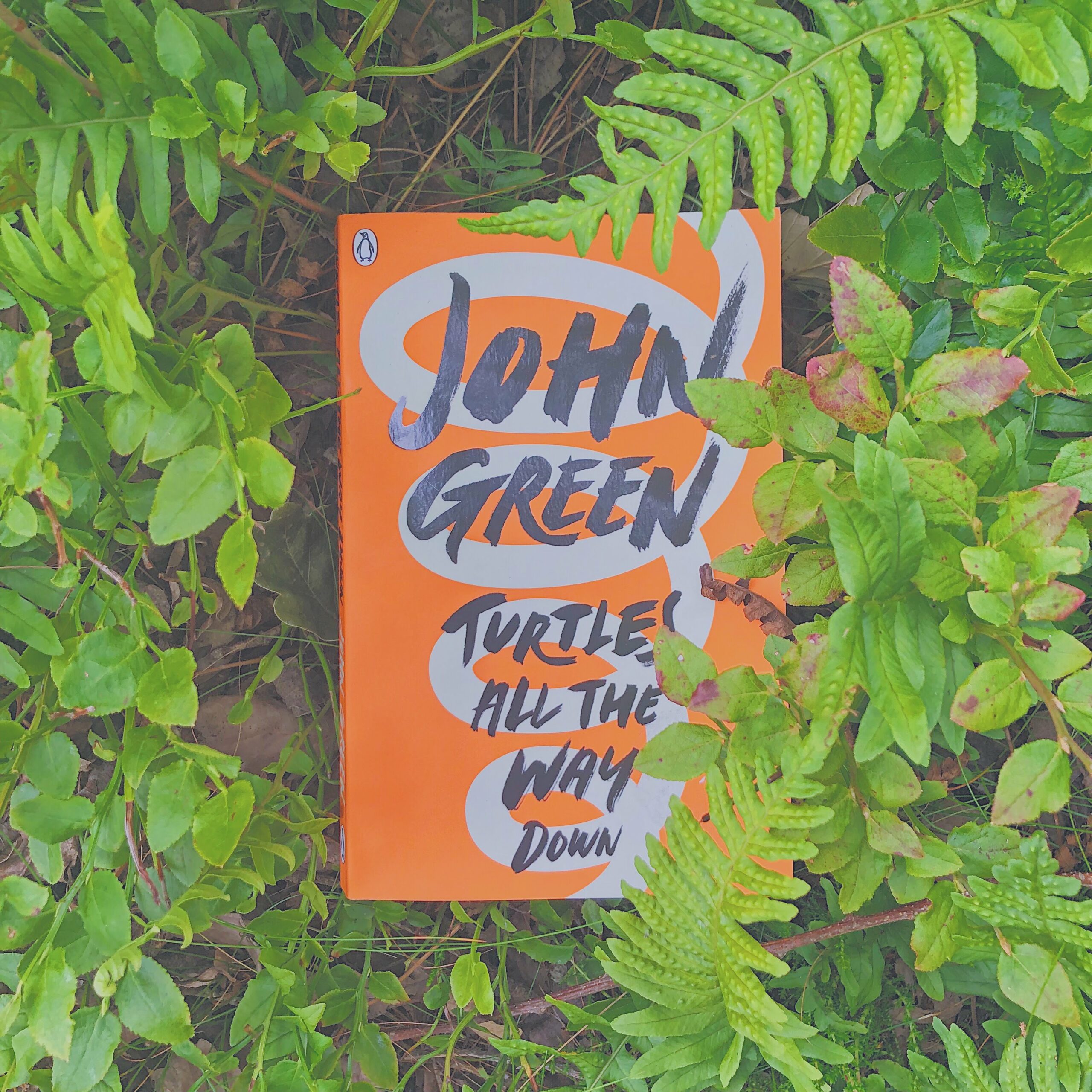 Turtles all the way down- John Green